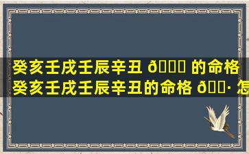 癸亥壬戌壬辰辛丑 💐 的命格（癸亥壬戌壬辰辛丑的命格 🕷 怎么样）